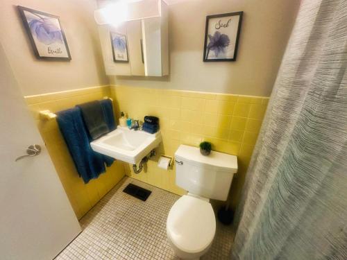 een kleine badkamer met een toilet en een wastafel bij 2BR Heritage Hill Apt Long Stay Discount in Grand Rapids