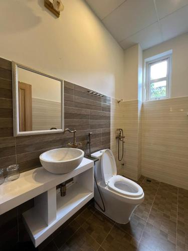 a bathroom with a sink and a toilet and a mirror at De Daisy Villa Homestay in Da Lat