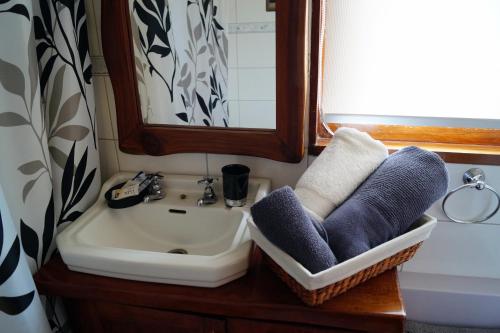 Et badeværelse på Tradicion Austral Bed & Breakfast