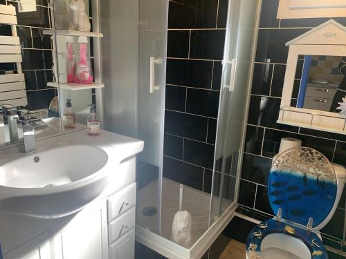 une salle de bain avec un lavabo, des toilettes et un miroir dans l'établissement Duplex avec Jardin Privé pour 4 Pers. à 400m de la Plage - Merville-Franceville - FR-1-465-110, à Merville-Franceville-Plage