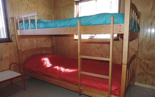 a couple of bunk beds in a room at Cabañas el mirador de Rio Claro in Río Claro