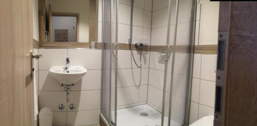 y baño con ducha y lavamanos. en Landgasthof Hepting, en Massenhausen