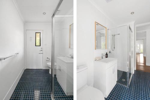 a bathroom with a shower and a sink and a toilet at Wild Rose Cottage Kiaroo Estate, Kangaroo Valley in Kangaroo Valley