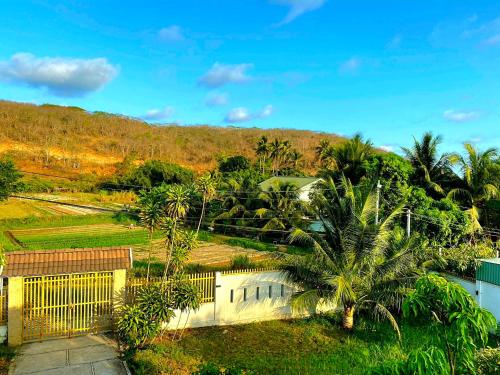 z góry widok na dom z palmami w obiekcie Peaceful Villa Seaview - From The Beach 400m w mieście Phan Thiet