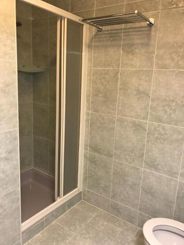 a bathroom with a shower and a toilet at Ebro Fishing in Mequinenza