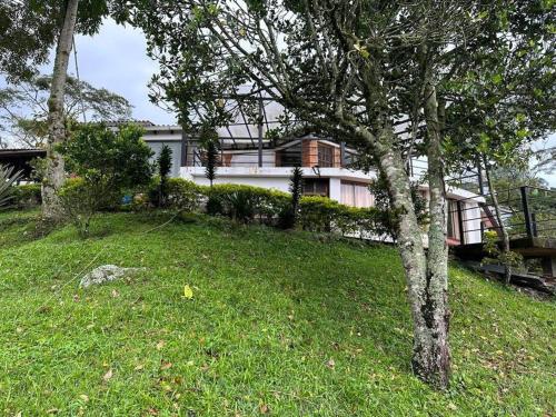 a house on a hill with a tree in the yard at Villa Diana, Condominio Oasis in Guayabal de Síquima