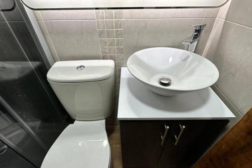 a bathroom with a white toilet and a sink at Cabaña 2 - Finca El Naranjal in Guayabal de Síquima