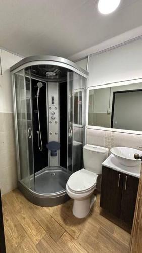 a bathroom with a shower and a toilet and a sink at Cabaña 2 - Finca El Naranjal in Guayabal de Síquima