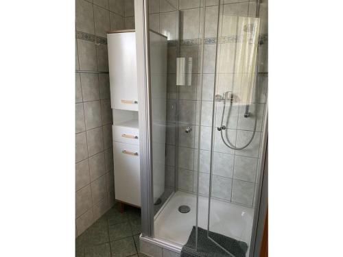 a bathroom with a shower with a glass door at Wood in Zempin Usedom in Zempin