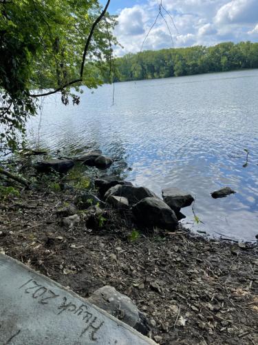 a body of water with some rocks and trees at River House in South Williamsport