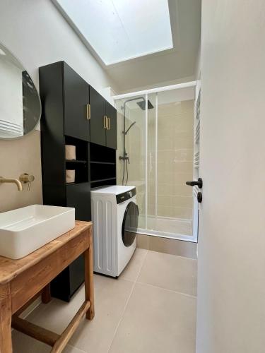une salle de bain avec un lavabo et une machine à laver dans l'établissement Appartement Bordeaux centre, à Bordeaux