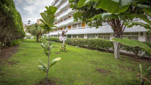 
a grassy area with trees and a building at Tagoror Beach Apartments in Playa del Ingles
