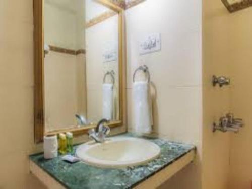 a bathroom with a sink and a mirror at SOLANG SKI RESORT MANALI in Palchān