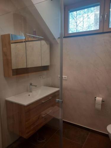 a bathroom with a sink and a glass shower at Ferienwohnung Goldeckblick in Seeboden