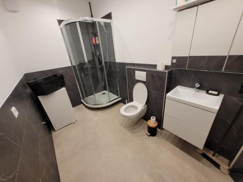 a bathroom with a shower and a toilet and a sink at Loft Apartment am Bahnhof in Albstadt