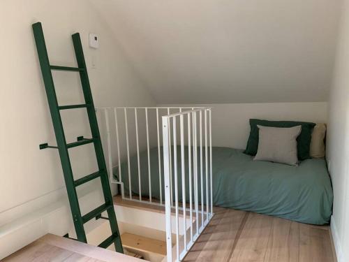 a bed in a room with a ladder next to it at Chalet au bord du lac in Saint Adolphe D'Howard