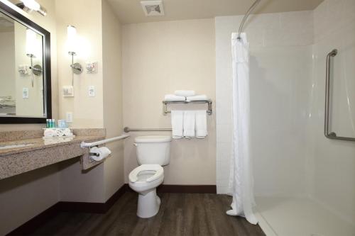 a bathroom with a toilet and a shower at Holiday Inn Express Hotel & Suites Vernon by IHG in Vernon