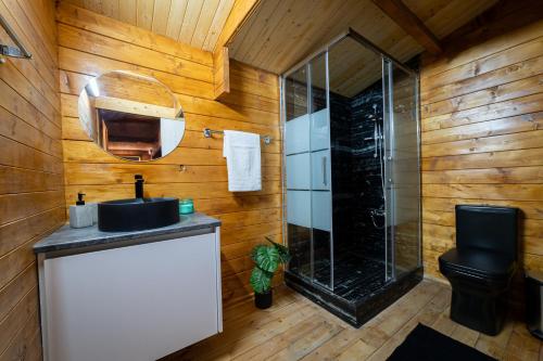La salle de bains est pourvue d'une douche en verre et d'un lavabo. dans l'établissement Ktima to Alliotiko at Lofou Village, à Lófou