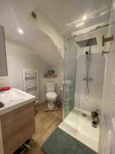 a bathroom with a shower and a toilet and a sink at Studio avec Terrasse à 5 minutes de la plage in Saint-Laurent-du-Var
