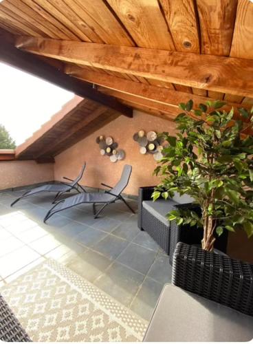 2 chaises et une plante dans une pièce dans l'établissement Hébergement Cosy avec terrasse Tropézienne, à Le Chambon-Feugerolles