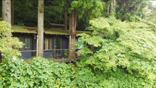 una casa oscurecida por árboles y arbustos en ゲストハウス　グランフォティア, en Yamagata