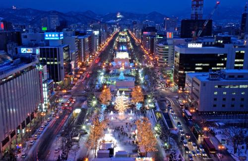 a city lit up at night with christmas trees at Extreme in Sapporo
