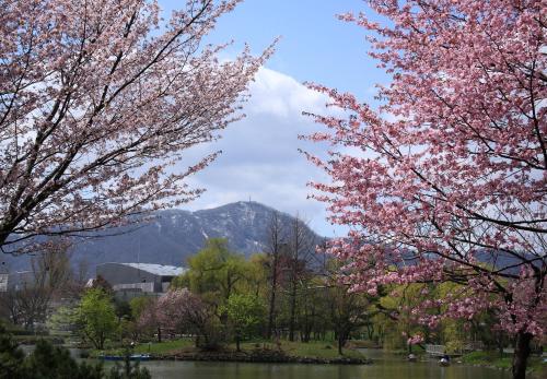 a group of trees with pink blossoms in front of a lake at Extreme in Sapporo