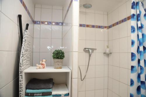 a bathroom with a shower and a shelf with a plant at Zentrale, ruhige Wohnung in Innenstadt - Küche, Parkplatz, Terrasse, SmartTV, Netflix in Bitburg