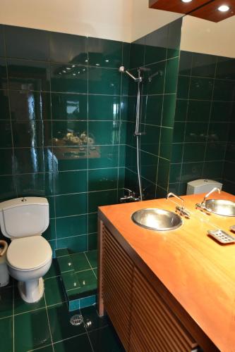 a green tiled bathroom with a toilet and a sink at Villa Temptation in Kamena Vourla