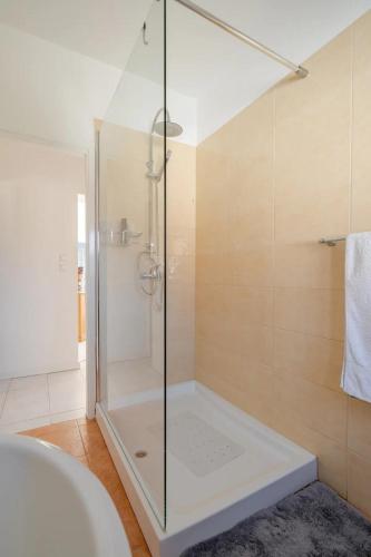a shower with a glass door in a bathroom at Villa Azul, Graça Portugal in Pedrógão Grande