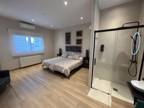 a bedroom with a bed and a shower and a sink at La Casa del Tejado Verde Toledo in Toledo