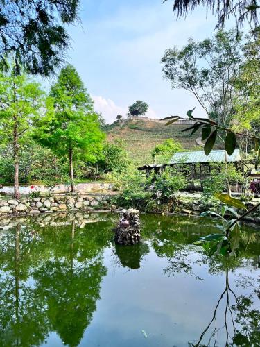 魚池鄉的住宿－清平樂村居，一座花园中的池塘,花园中种满了树木,一座建筑