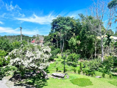 a garden with white flowers on the grass at Chin Pin Lo B&B in Yuchi