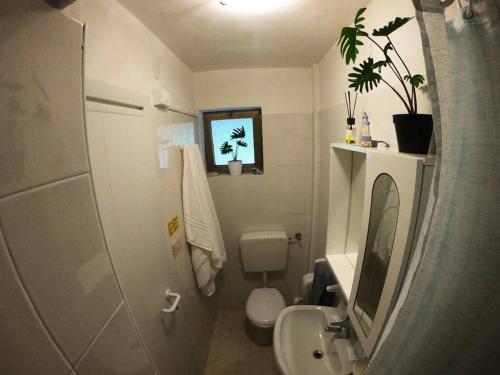 ein kleines Bad mit WC und Waschbecken in der Unterkunft Villa Isolda bilocale rilassante in Bibione