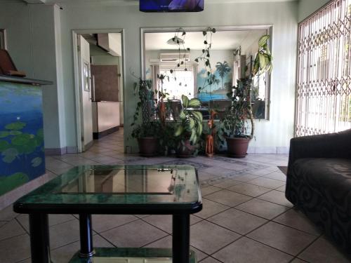a living room with a glass table and potted plants at Brackendene Lodge in Gaborone