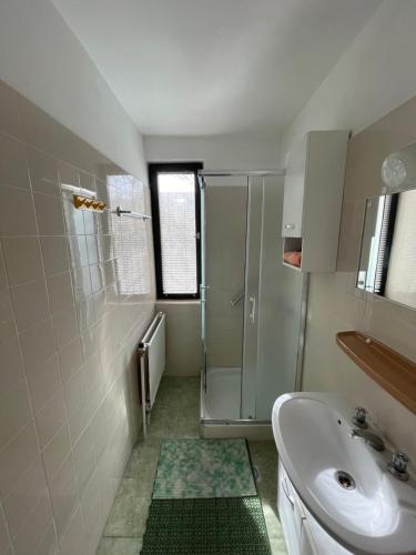 y baño pequeño con lavabo y ducha. en Alpesi Trimmel Vendégház, en Sopron
