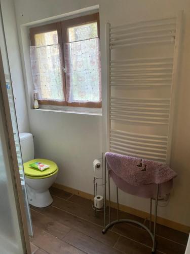 une salle de bain avec un lavabo et des toilettes dans l'établissement Mini loft a la campagne dans une ancienne ferm, à Saint-Cyprien