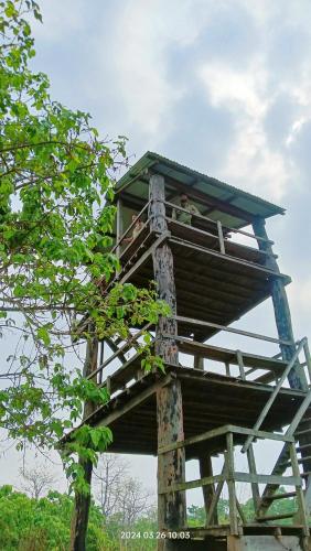a tree house with a person sitting in it at Hotel Butterfly - Peaceful Garden for Nature Lovers in Sauraha