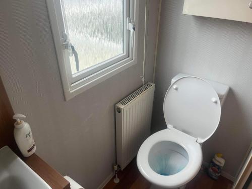 a small bathroom with a toilet and a window at Luxury 3 bed Caravan at Manor Park Pets go Free in Hunstanton