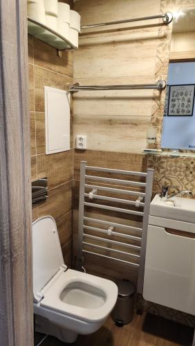 un baño con inodoro y lavabo en Centrum Karlovy Vary Divadelní, en Karlovy Vary