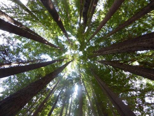 別荘の近くで見られる自然の景観