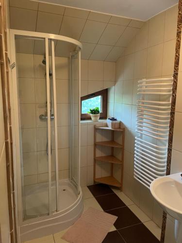 La salle de bains est pourvue d'une douche et d'un lavabo. dans l'établissement Pod Dziką Różą, à Baligród