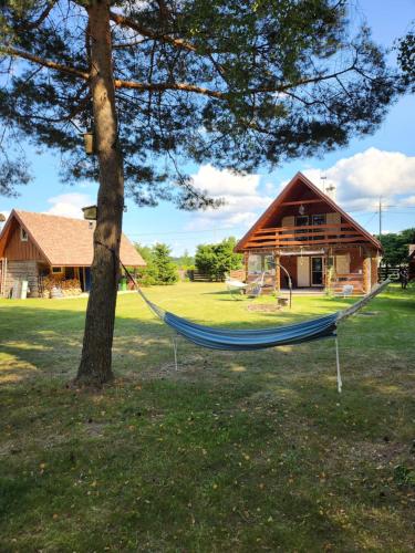 a hammock hanging from a tree in front of a house at Podlaska Pieredyszka, dom na wyłączność in Narew