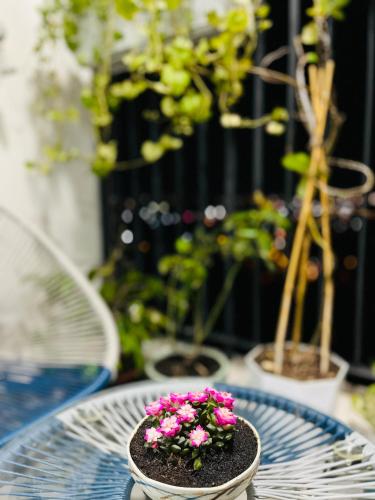a pot of flowers on a table with potted plants at Livahome - BEE Lux homestay Di An HCMC in Dĩ An