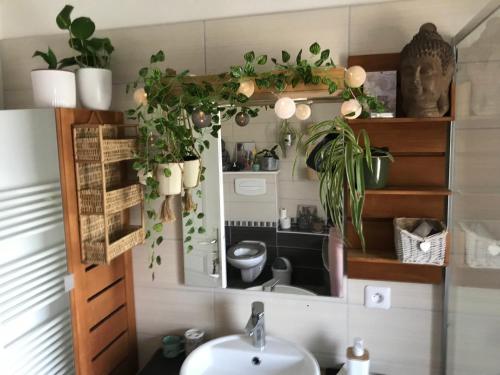 a bathroom with a sink and plants on the wall at Côté Rive, au bord de la rivière La Moselotte et terrasse in Saulxures-sur-Moselotte
