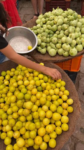 a pile of lemons and other fruits and vegetables at Bristows Haveli Homestay in Jodhpur