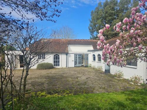 a white house with a magnolia tree in front of it at Queen Anne Cottage in Guildford