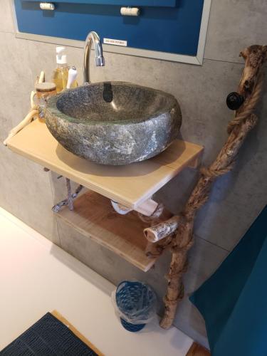 a sink on a wooden shelf in a bathroom at La roulotte tiny house du Mond'idéal in Leval