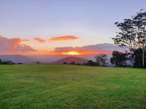 a sunset over a grassy field with a tree in the foreground at Modern Couples Getaway in Witta