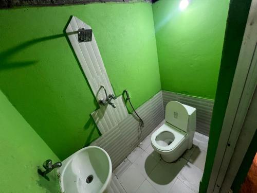 zieloną łazienkę z toaletą i umywalką w obiekcie Langhali Agricultural Homestay w mieście Pokhara